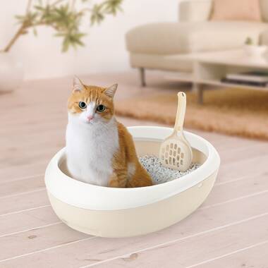 Top open cat litter box sale